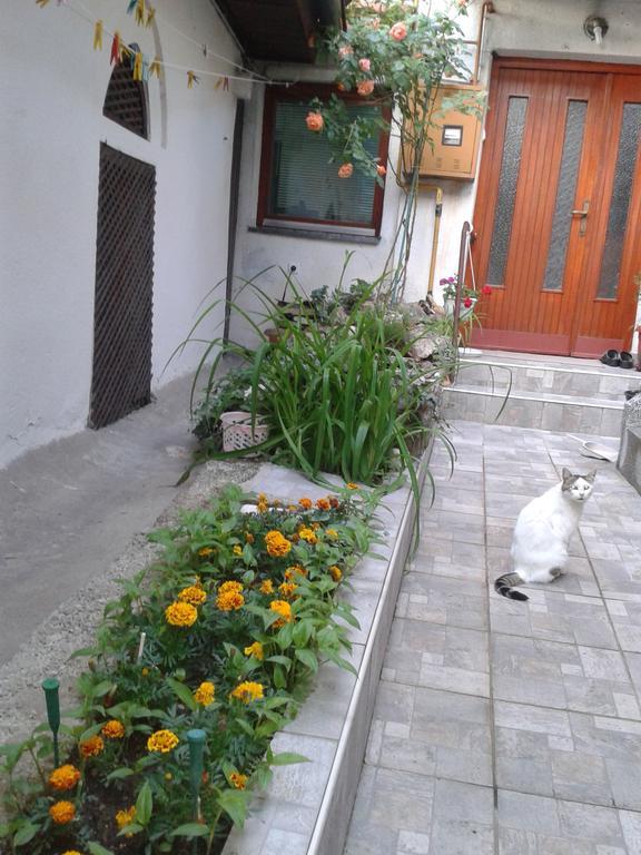 Ferienwohnung Yasmin Sarajevo Zimmer foto